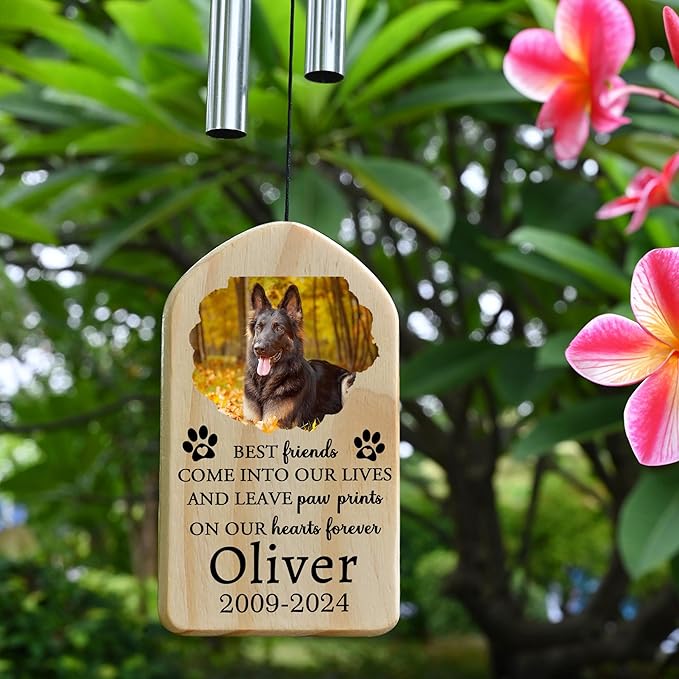 Pet Memorial Wind Chime, Pet Loss Gifts, Pet Memorial Gifts for Dogs, Dog Memorial Gifts for Loss of Dog, Loss of Dog Sympathy Gift, Dog Remembrance Gift, in Memory of Dog Cat - Come into Our Lives