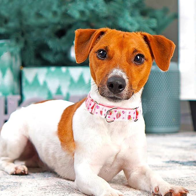 Martingale Dog Collar for Small Pet Dogs- Pink Strawberry No-Slip Escape Proof Choke No Pull Fruit Dog Collar for Male and Female Dogs Training & Walking S