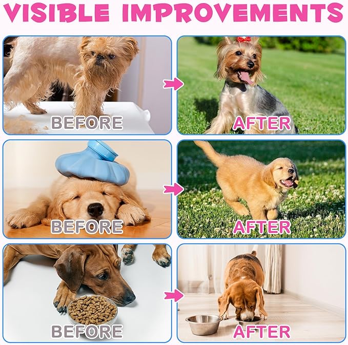 Collagen for Dogs, Dog Collagen Liquid Drops with Biotin, MSM & Ginger Digestive & Immunity Support, Itch Relief, Skin & Coat and Joint Health, Dog Supplement 60ml 