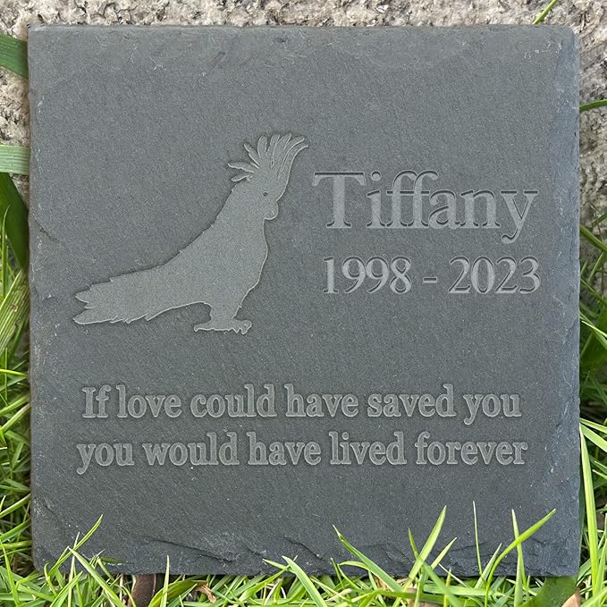 Personalized Pet Memorial Stone, Custom Loss of Parrot Gifts Pet Keepsake Gifts Personalized Garden Stone Parrot Sympathy Stone Parrot Memorial Tombstone - Parrot