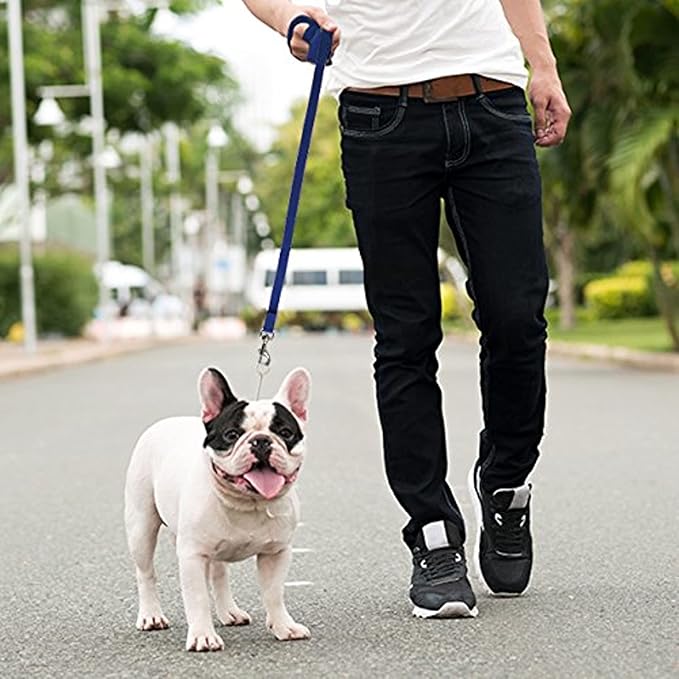 Downtown Pet Supply - Long Dog Leash - 75 ft Blue Nylon Dog Training Leash for Recall & Obedience