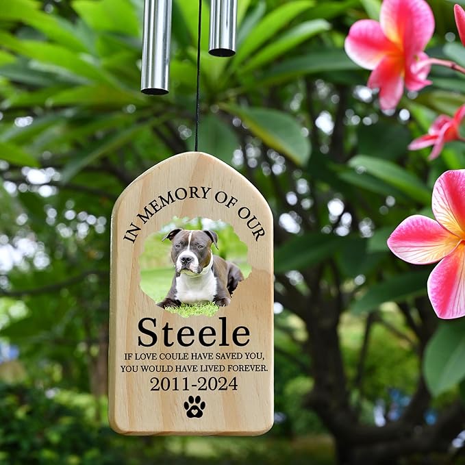 Pet Memorial Wind Chime, Pet Loss Gifts, Pet Memorial Gifts for Dogs, Dog Memorial Gifts for Loss of Dog, Loss of Dog Sympathy Gift, Dog Remembrance Gift, in Memory of Dog Cat - Have Lived Forever