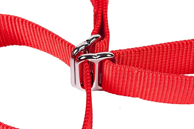 GOGO Pet Products 1-Inch Martingale Dog Collar, Large, Red