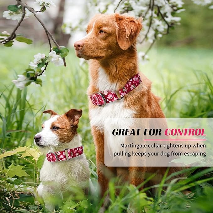 Hikiko Martingale Collar for Female Dogs - Floral Design, No Buckle, Nylon, No Pull, Medium, Japanese Pink