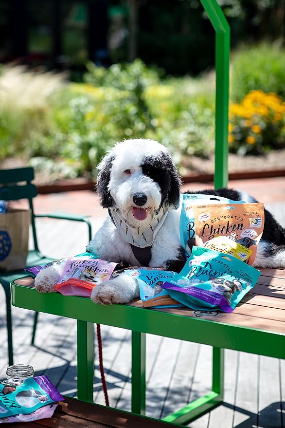 PET JERKY FACTORY Turkey & Pumpkin 12 oz. Dog Jerky Treats | 100% Human Grade | USA Made-| High Protein-| Grain Free-| Limited Ingredients-| No Filler-| BHA-BHT Free-| Soft-Tender,(Pack of 2)