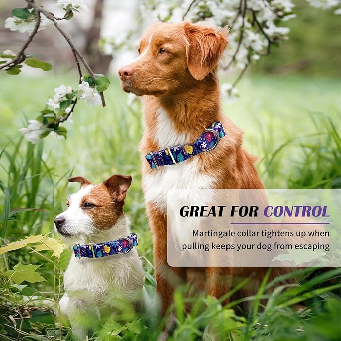 Hikiko Martingale Collar for Dogs with No Buckle Flower Dog Collars Pretty Cute Purple Dog Collar for Small Dogs,Colourful Blossoms,S