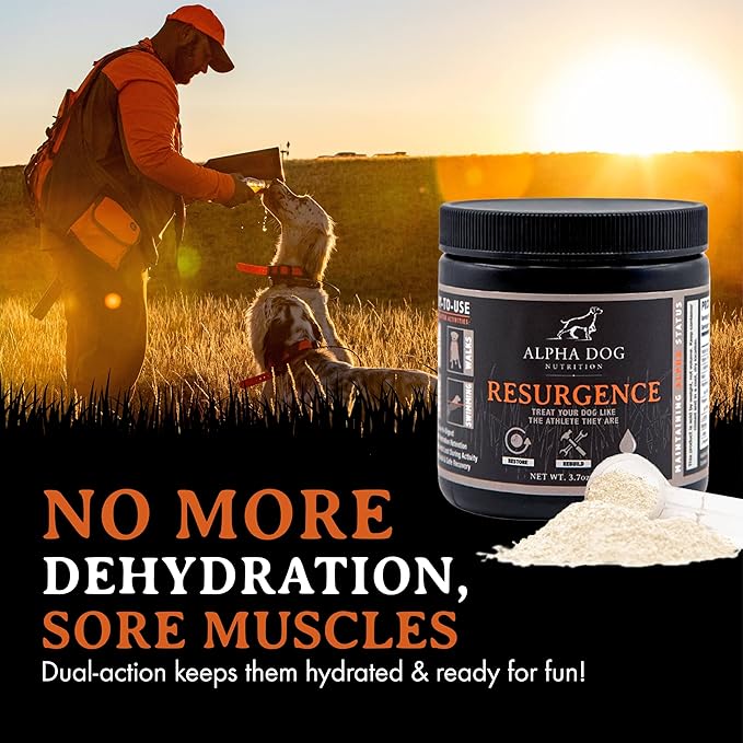 Resurgence Dog Electrolytes by Alpha Dog Nutrition | Promote Dog Hydration, Increase Stamina, and Boost Recovery | Electrolyte Water Additive or Food Topper to Prevent Dehydration with Beef Flavoring