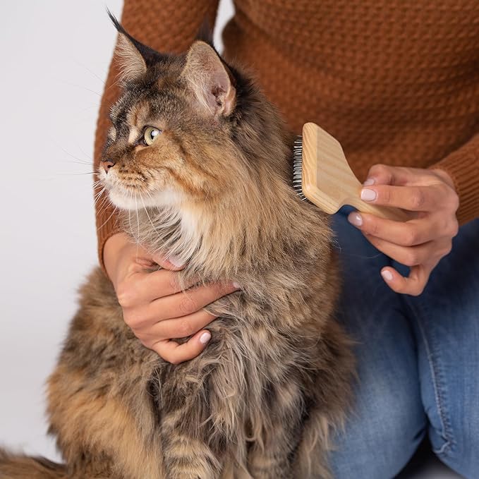 WIDU - Brush for Dogs and Cats, Ideal for Small Pets with Long Hair, Professional Carder in Ash Wood, Handmade in Italy - 16 x 7 cm, with 20 mm Long Teeth and 70° Inclination