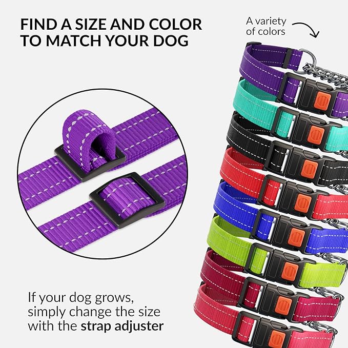 CollarDirect Martingale Dog Collar with Stainless Steel Chain and Quick Release Buckle - Reflective Collar for Large, Medium, Small Dogs - Purple, Large (Neck Size 17"-22")