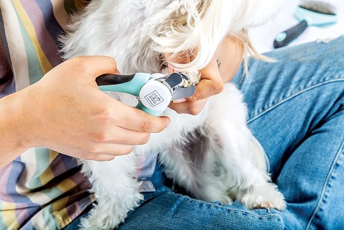 Pixie Paws Grooming Pet Brush 6 Piece Set, Dog and Cat Kit, Dematting Comb, Deshedding Fur, Toothbrush Clean Teeth, Remove Knot Tangles, Nail Clippers, Comfortable Handle - 530004E