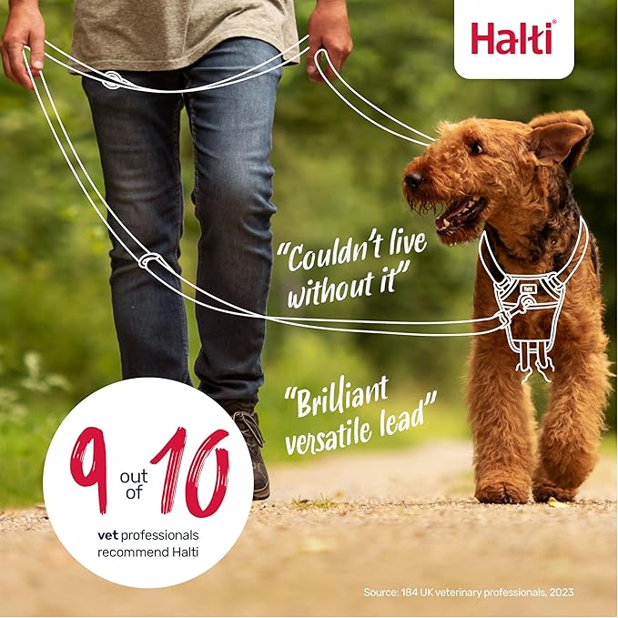 Halti Training Leash - Multifunctional Double-Ended Dog Leash, Ideal for Anti-Pulling Dog Training. Lightweight & Durable. Suitable for Small to Medium Dogs & Puppies (Size Small, Forest Green, 2m)