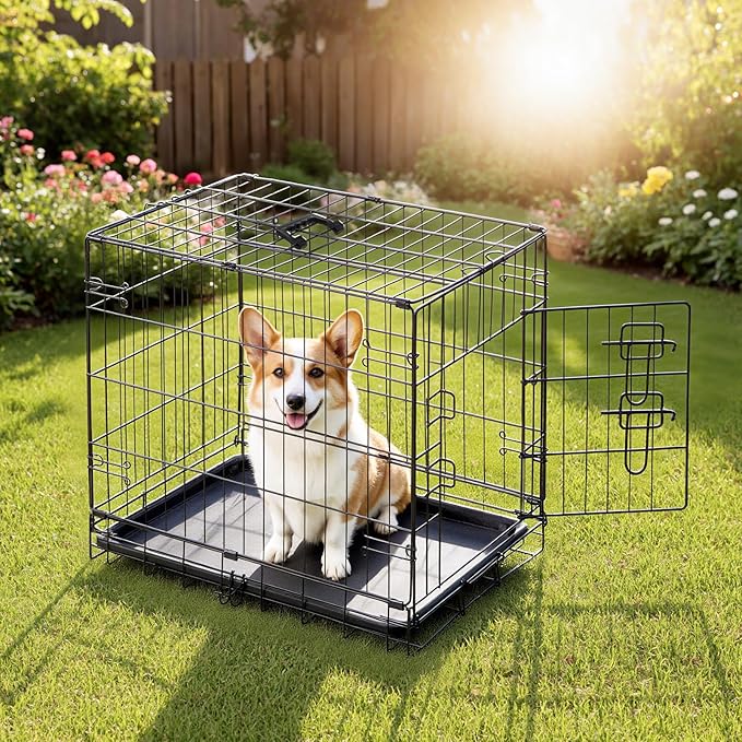 DUMOS Dog Crate, 24 Inch Medium Single Door Dog Cage with Plastic Leak-Proof Pan Tray, Folding Metal Wire Pet Kennel for Indoor, Outdoor, Travel