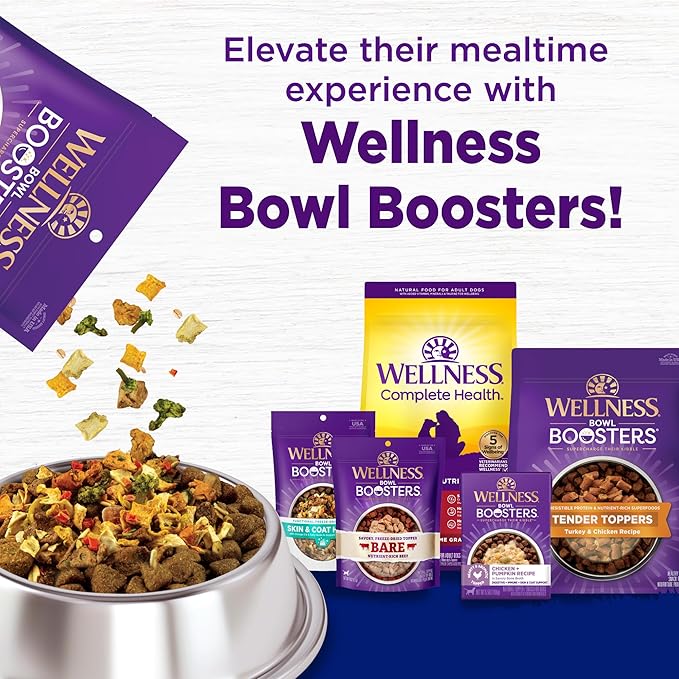 Wellness Complete Health Dry Dog Food, Large Breed, Wholesome Grains, Natural, Chicken & Brown Rice Recipe, (15-Pound Bag)