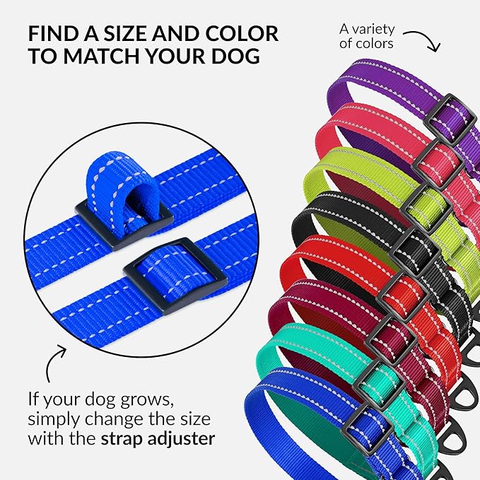 Collardirect Reflective Martingale Dog Collar Nylon Training Collars for Small Medium Large Dogs Puppy Pink Orange Green (L, Neck Size 16"-24", Blue)