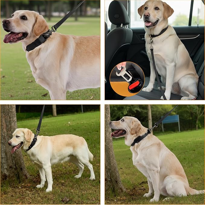 Annchwool Adjustable Dog Collar and 5 FT Leash Set with Heavy Duty Metal Buckle–Comfortable Lining Reflective Collar & Dual-Handles for Medium Large Dogs Walking,Running(Black Set,S:13''-17'')