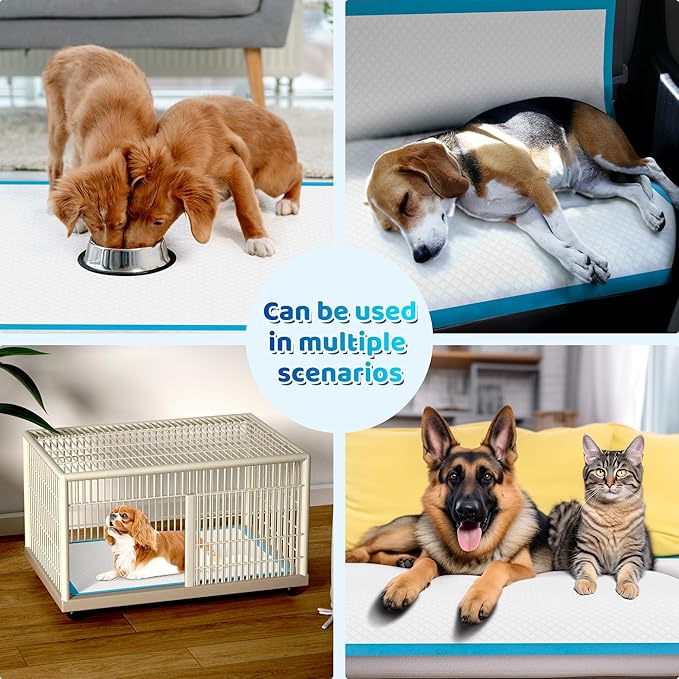 Upgrade Leak-Proof Pet Training and Puppy Pads, Jumbo Pee Pads for Dogs with Thicken Polymer Heavy Absorbency, Quick Dry Disposable Pee Pads for Cats Dogs (50, Regular 30''x36'')