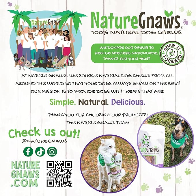 Nature Gnaws Beef Gullet Springs for Dogs 7-8" (12 Count) - Natural Beef Jerky Stick Dog Chew Treats - Rawhide Free