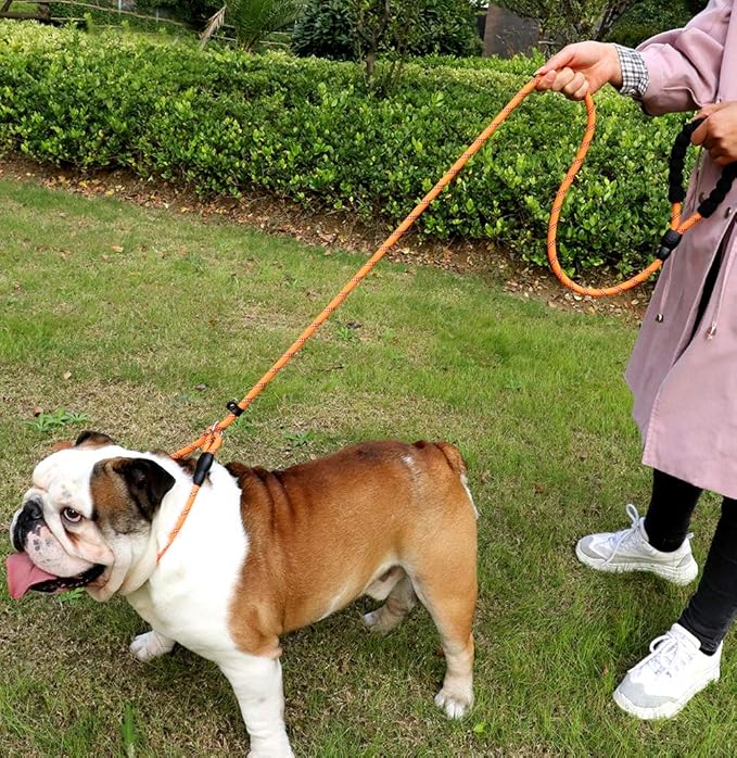 TagME Slip Leads for Dogs that Pull, 6 FT No-Pull Training Leash with Lock, Escape-Proof Design, Reflective & Padded Handle for Large Dogs, Orange