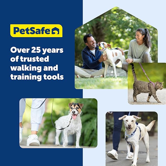 PetSafe 3 in 1 Dog Harness - No Pull Solution for Dogs - Reflective Dog Harness - Front D-Ring Clip Helps Stop Pulling - Comfortable Padded Straps - Top Handle Enhances Control - Plum - Extra Small