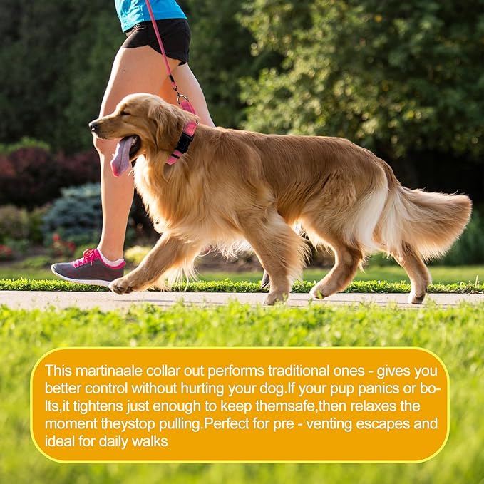 Martingale Collar for Dogs,Reflective Martingale Dog Collars with Quick Release Buckle,Adjustable Nylon No Pull Dog Collar for Dogs Walking Training (Orange, Large)