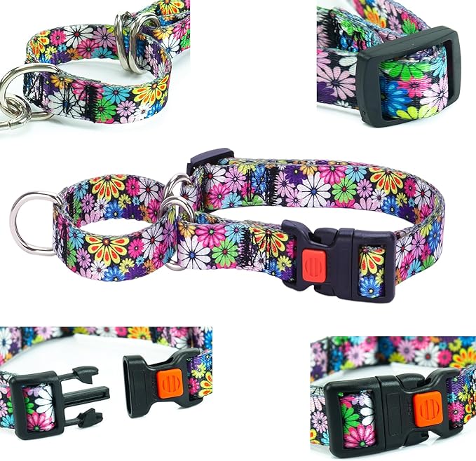 Martingale Collar for Dogs, Colorful Daisies Martingale Collar for Girl Female Dogs Large Medium and Small, with Quick-Release Buckle Perfect for Training, Walking, Hunting (S)