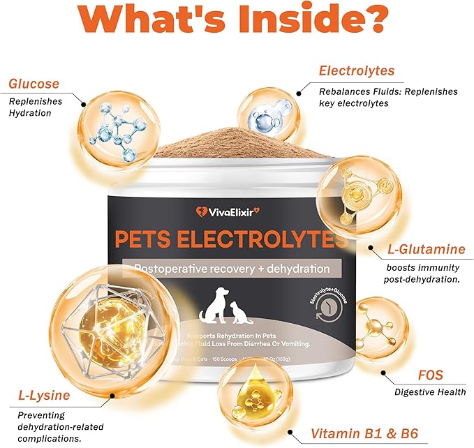 Electrolytes for Dogs – Vet-Formulated Hydration Supplement– Supports Post-Surgery & Illness Recovery– Helps Replenish Fluids & Electrolytes Lost from Diarrhea, Vomiting & Poor Appetite