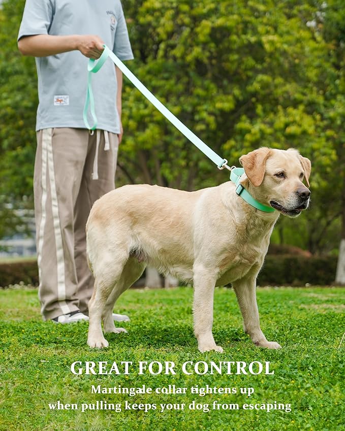 Waterproof Martingale Collar for Dogs,Easy to Clean Dog Collars with Safety Quick Release Buckle,Rubber Collar for Medium Large Dogs Walking Training (Mint Green, M (16.5-20.8inch))