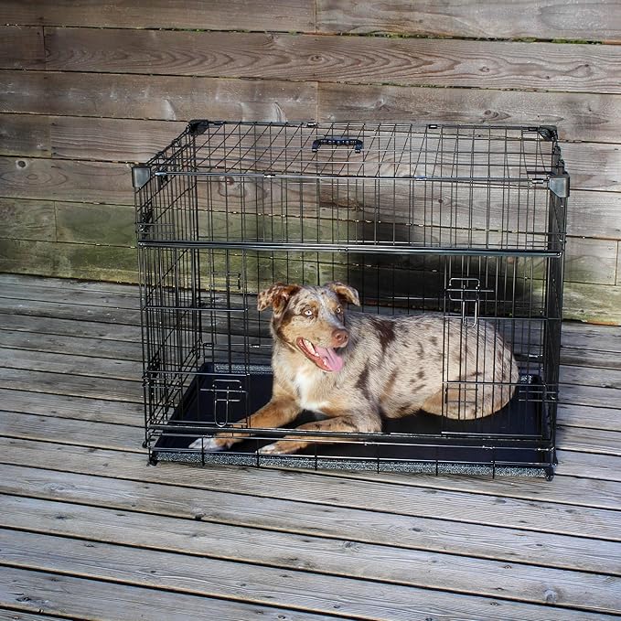 Lucky Dog Dwell Series 36 Inch Medium/Large Lightweight Kennel Secure Fenced Pet Dog Crate w/Divider Panels, Sliding Doors, and Removable Tray, Black