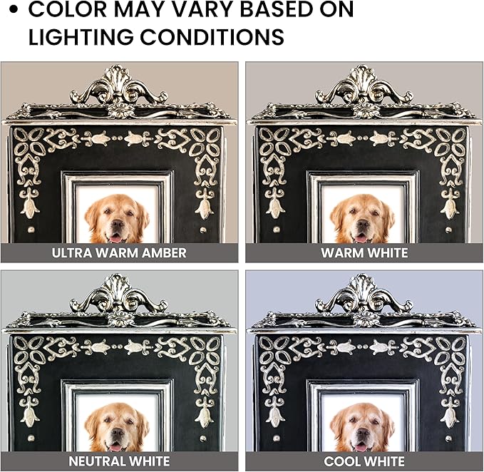 AELS Large Pet Urn Memory Box for Keepsakes with Photo Slot, Dog Memorial Urns for Ashes, Cat or Dog Cremation Urns, Black