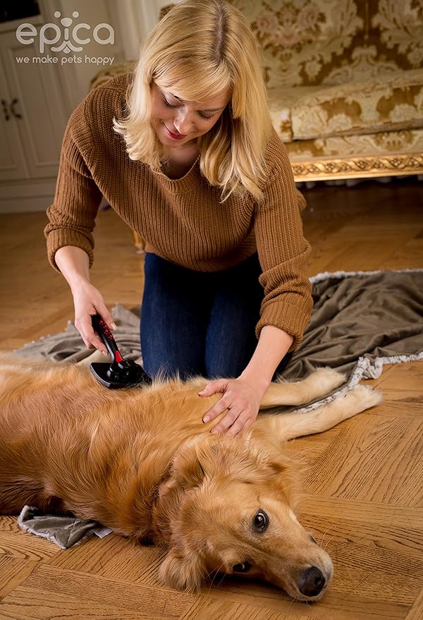 Self-Cleaning Slicker Brush with Pivoting Head for Dogs