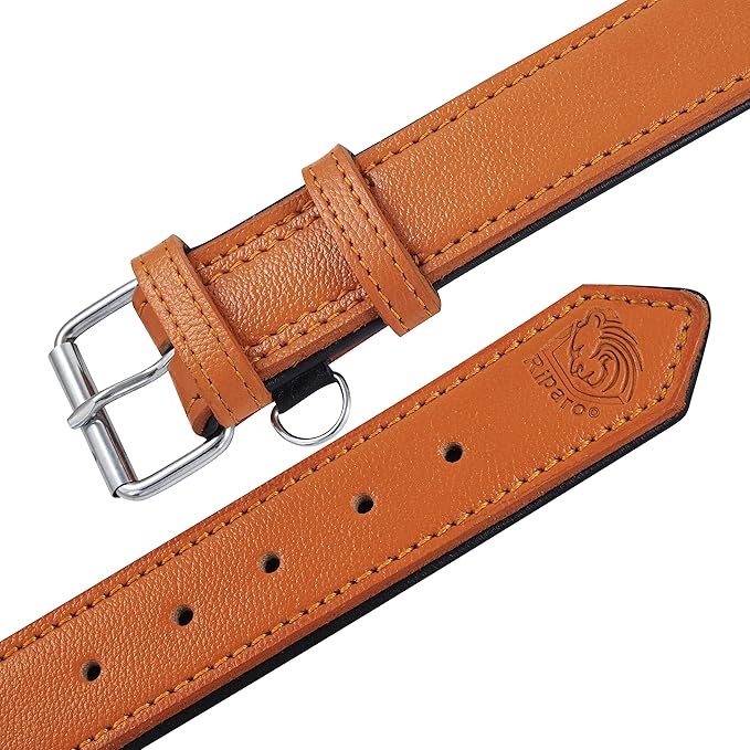Riparo Orange Leather Dog Collar - Heavy Duty Wide Dog Collar for Small, Medium, Large and Extra Large Dogs with Dog Tag Holder (M: 1" Wide for 13.5ā-17.5ā Neck, Orange)
