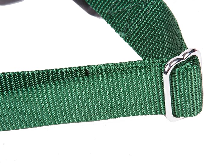 GOGO Pet Products 3/4-Inch Martingale Dog Collar, Medium, Hunter Green