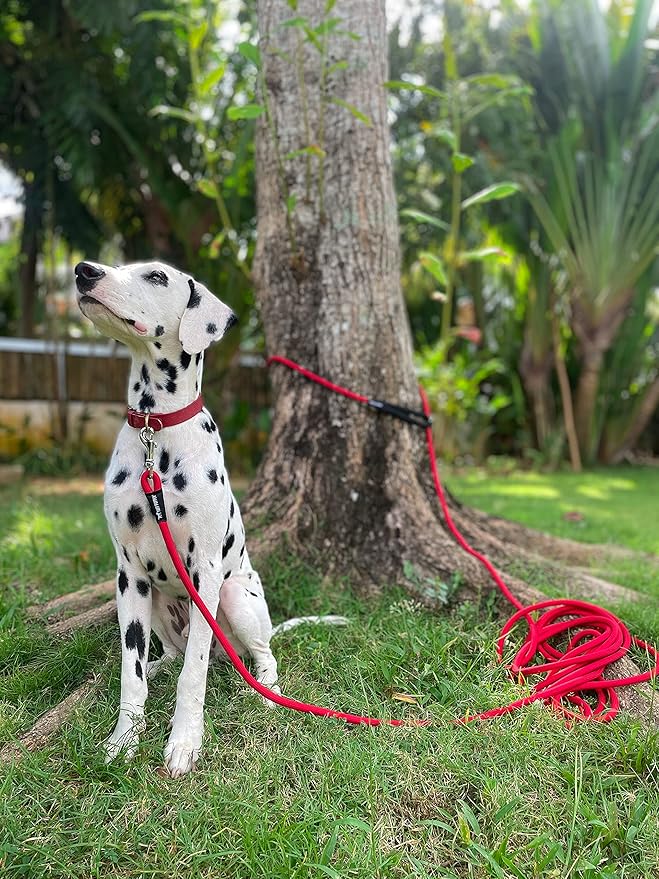 Tuff Pupper Heavy Duty 30 Foot Long Rope Leash for Dogs | Dog Recall Training Lead | High Visibility Strong Climbing Rope Leash | Hand or Waist Worn | Stainless Steel 360° Clips for Tangle Free Use