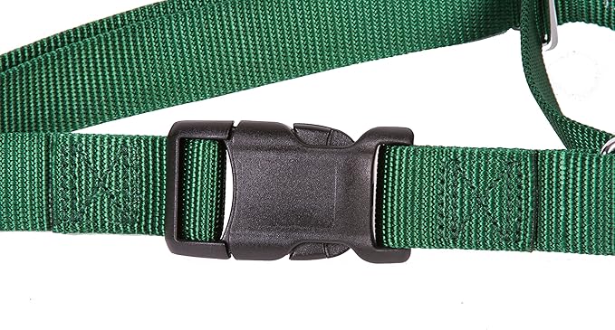 GOGO Pet Products 3/8-Inch Martingale Dog Collar, X-Small, Hunter Green
