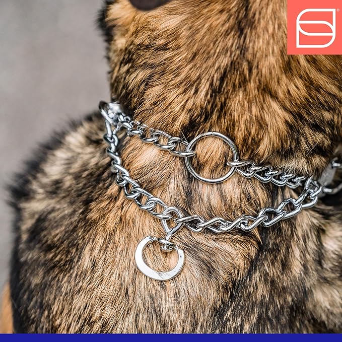 Herm. Sprenger Ultra-Plus Prong Dog Training Collar with Quick Release Snap and Swivel, Anti Pull Training Pinch Collar, Steel Chrome Plated (2.25 mm x 13" Neck Size; 16" Chain Length)