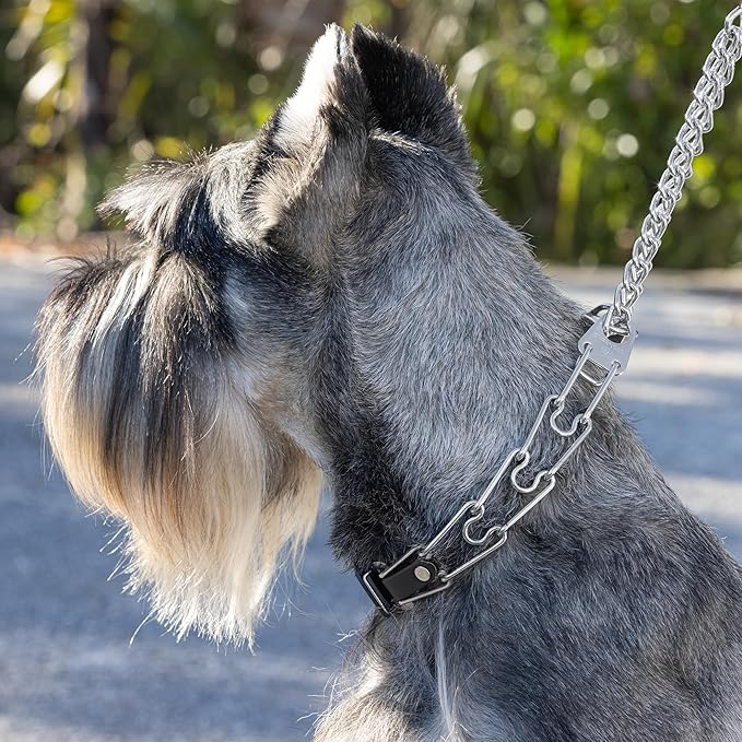 Herm Sprenger Dog Training Prong Collar with Quick Release ClicLock Buckle and Biothane Insert Stainless Steel No-Pull Collar Made in Germany (23in x 3.2mm Prongs (Neck Size up to19-20in))