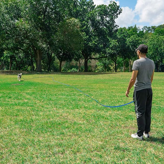 Hi Kiss Dog/Puppy Obedience Recall Training Agility Lead - 15ft 20ft 30ft 50ft 100ft Training Leash - Great for Play, Camping, or Backyard - Black 20ft