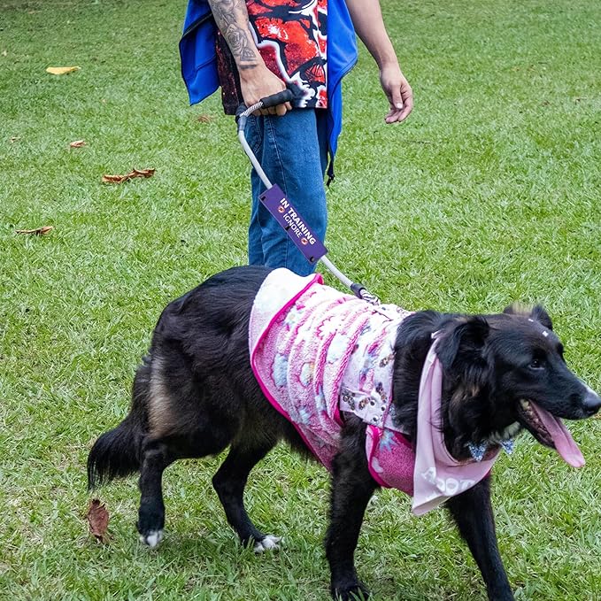 Training Ignore Dog Leash Wrap & Sleeve - Social Distancing Patch