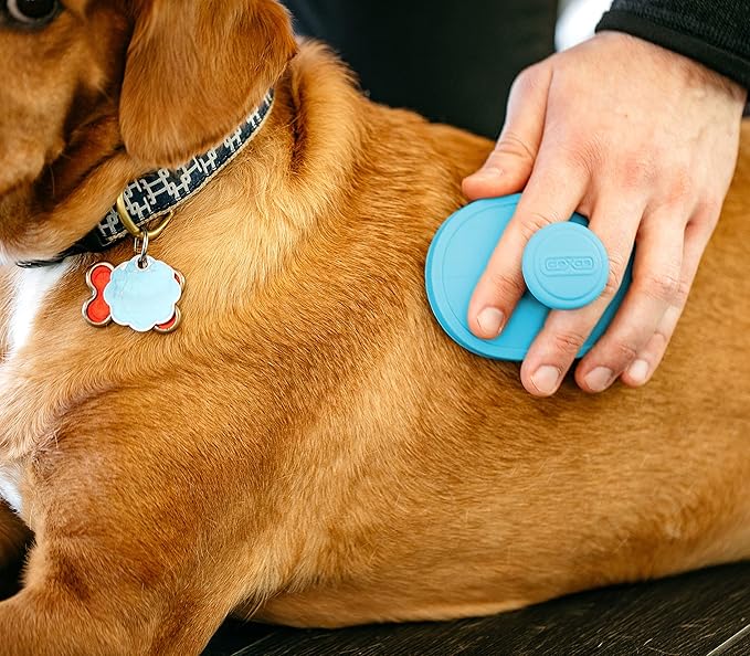 Dexas BrushBuster Silicone Gentle Dog Grooming and Massage Brush