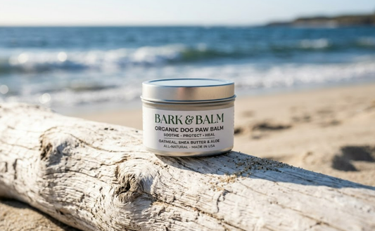 The Ultimate Guide to Caring for Your Dog's Paws After a Beach Day