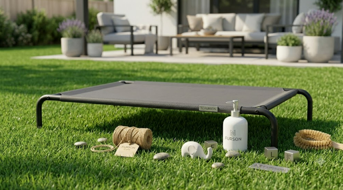 Decoding Dog Digging Behaviors: How to Protect Your Landscaped Backyard with Strategic Enrichment