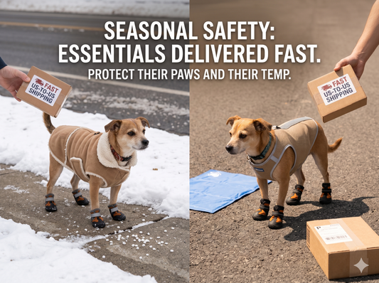 Seasonal Safety: How to Protect Your Dog During Extreme American Weather