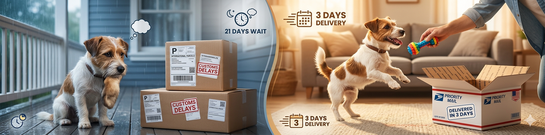 3-Day Delivery vs. 3-Week Wait: How Fast Shipping Keeps Your Pet Happy