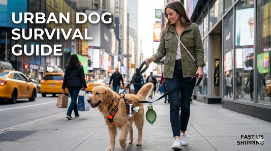 Urban Dog Survival Guide: Best Gear for Busy City Sidewalks