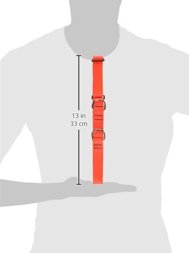 LupinePet Basics 1" Blaze Orange 19-27" Martingale Collar for Large Dogs