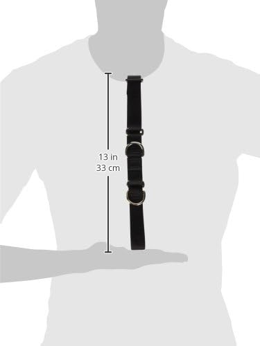 LupinePet Basics 1" Black 19-27" Martingale Collar for Large Dogs
