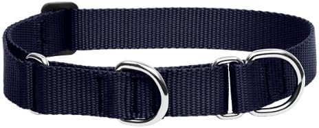 LupinePet Basics 1" Black 19-27" Martingale Collar for Large Dogs