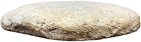 GiftsForYouNow Personalized Dogs Leave Paw Prints On Our Hearts 11.5 Inch Memorial Garden Stone
