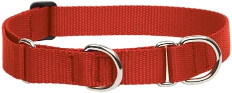 LupinePet Basics 1" Red 19-27" Martingale Collar for Large Dogs