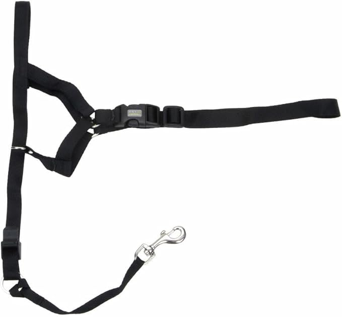 Coastal Pet Walk 'n Train Dog Head Halter - Head Colllar Dog Leader - No-Pull Pet Harness - Quick-Drying Polyester - Black - XLarge